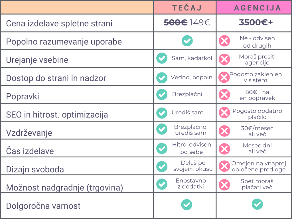 izdelava spletne strani sam vs najem agencije